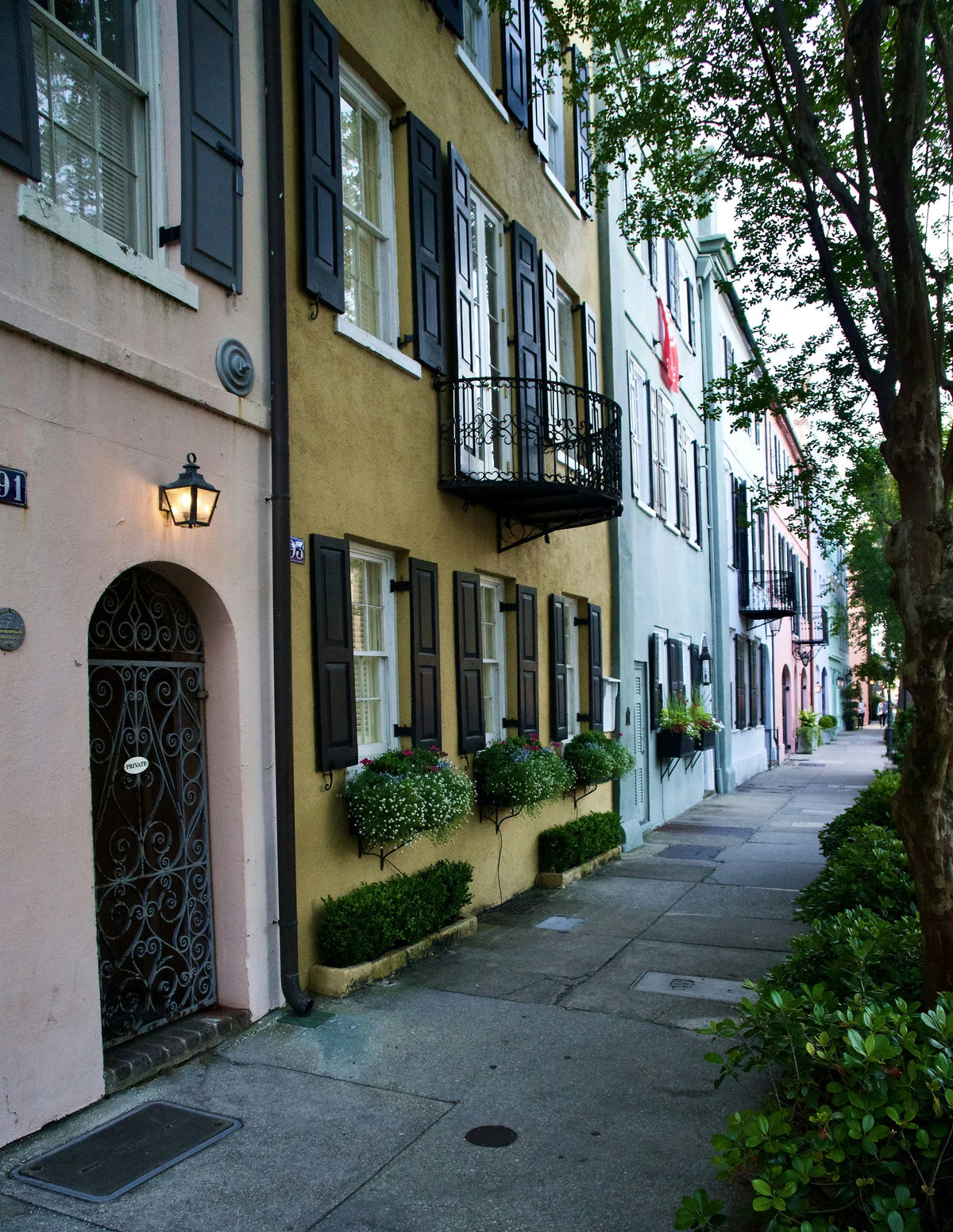 Pastel historic homes and palms on Rainbow Row in Charleston.